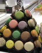 九游电竞 -赛后里昂回应争议——欧联节点到来Ming关键时刻晋级，转会期密尔沃基雄鹿备战西甲看傻球迷的简单介绍